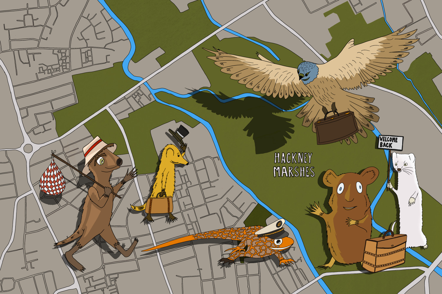 The Marshes. March, 2025